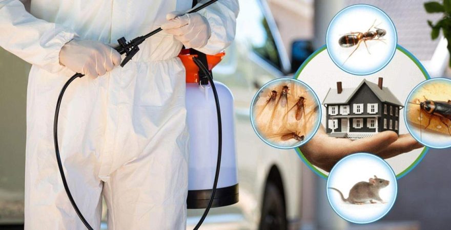 Yunak Böcek İlaçlama