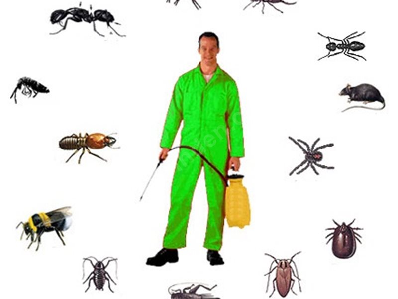 Yunak Böcek İlaçlama